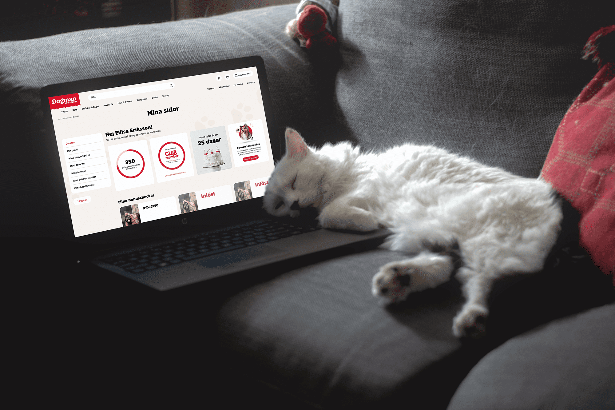 Dogman Loyalty Points (Coming Soon)